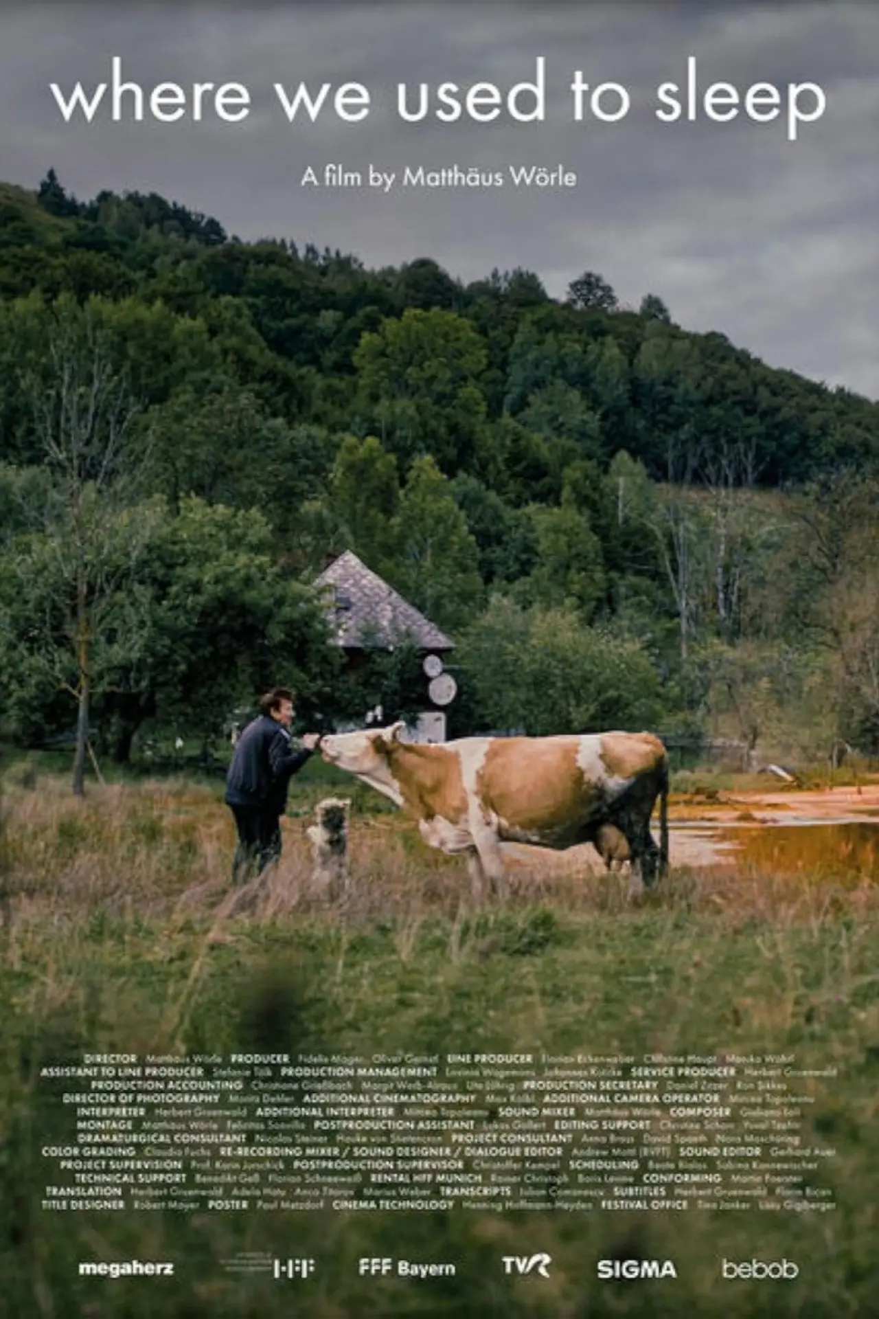 Plakat filmowy "Where We Used to Sleep"