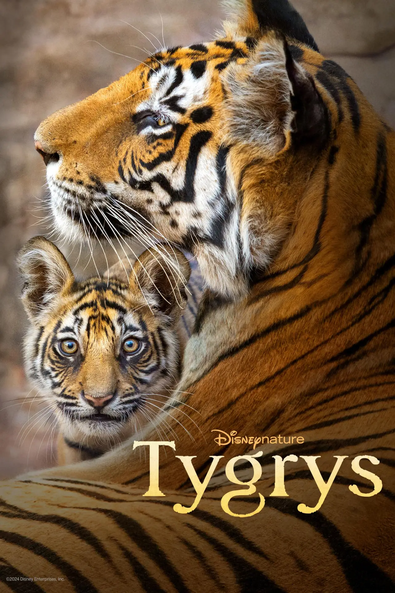 Plakat filmowy "Tygrys"