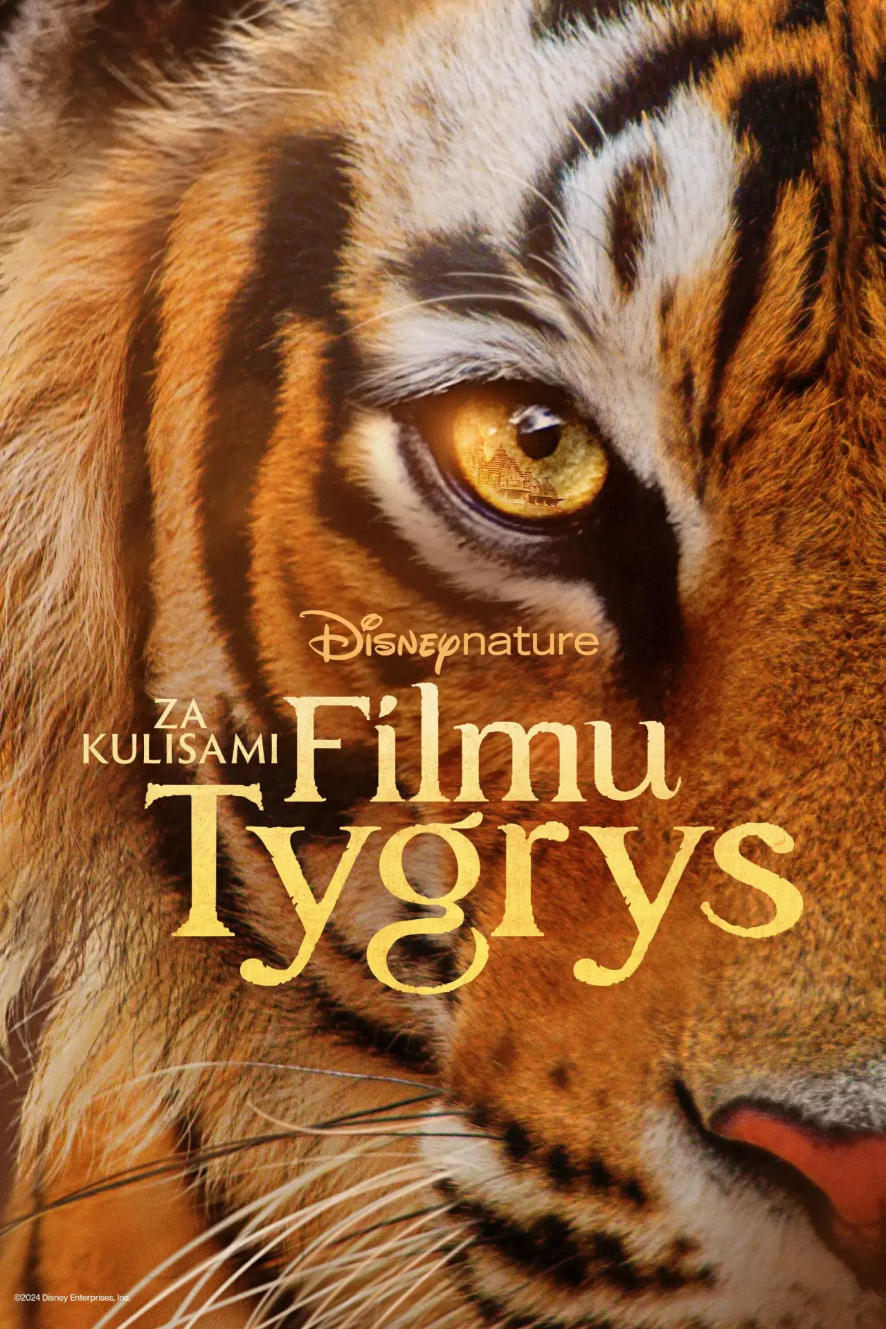 Plakat filmowy "Za kulisami filmu "Tygrys""