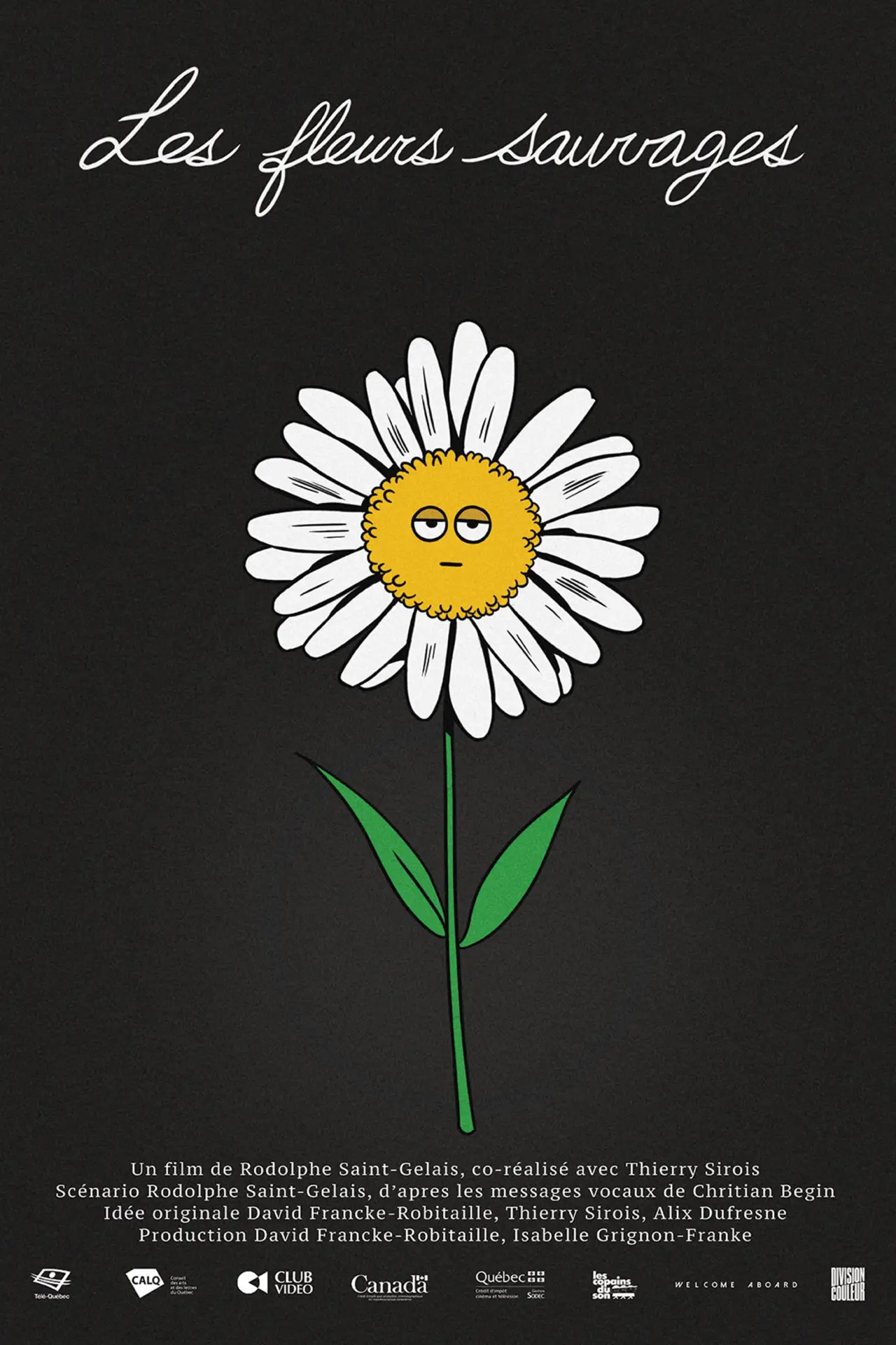 Plakat filmowy "Les fleurs sauvages"
