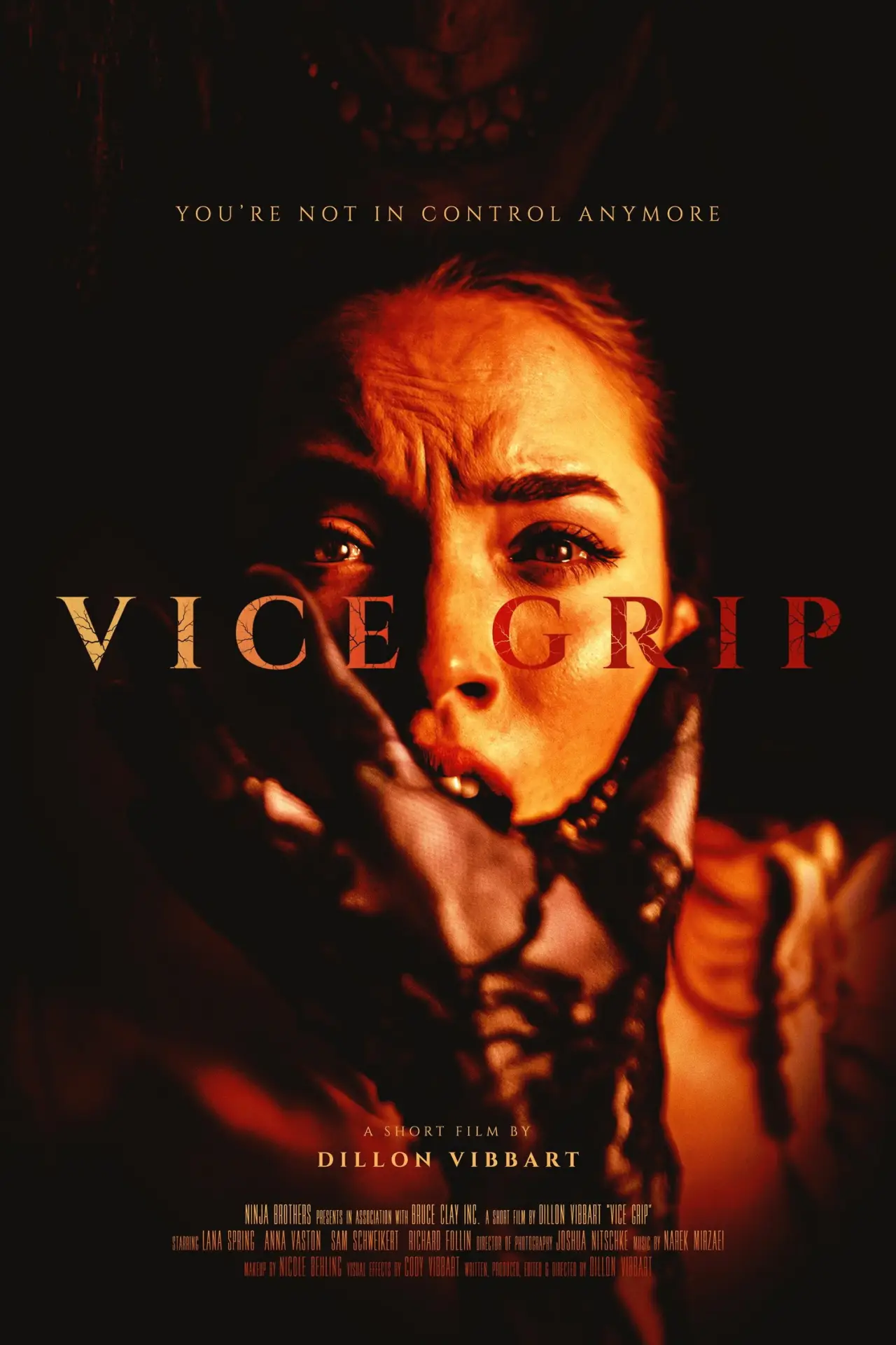 Plakat filmowy "Vice Grip"