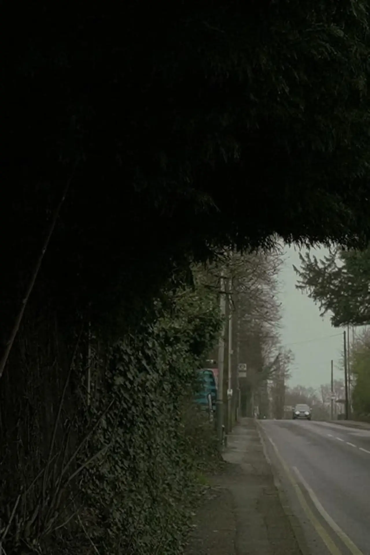 Plakat filmowy "feeble attempts at flight"