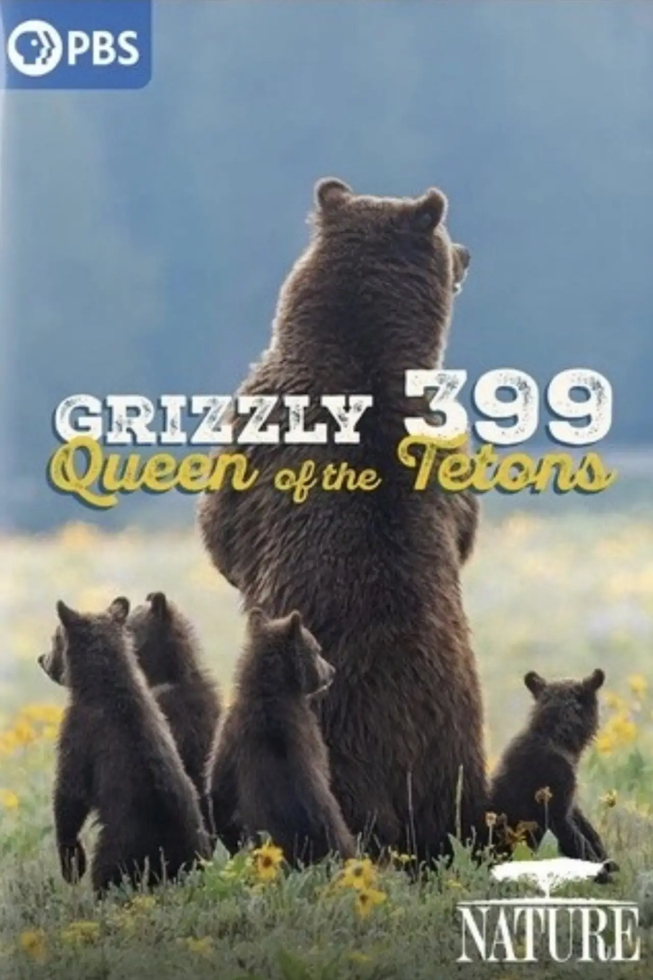 Plakat filmowy "399: Queen of the Tetons"