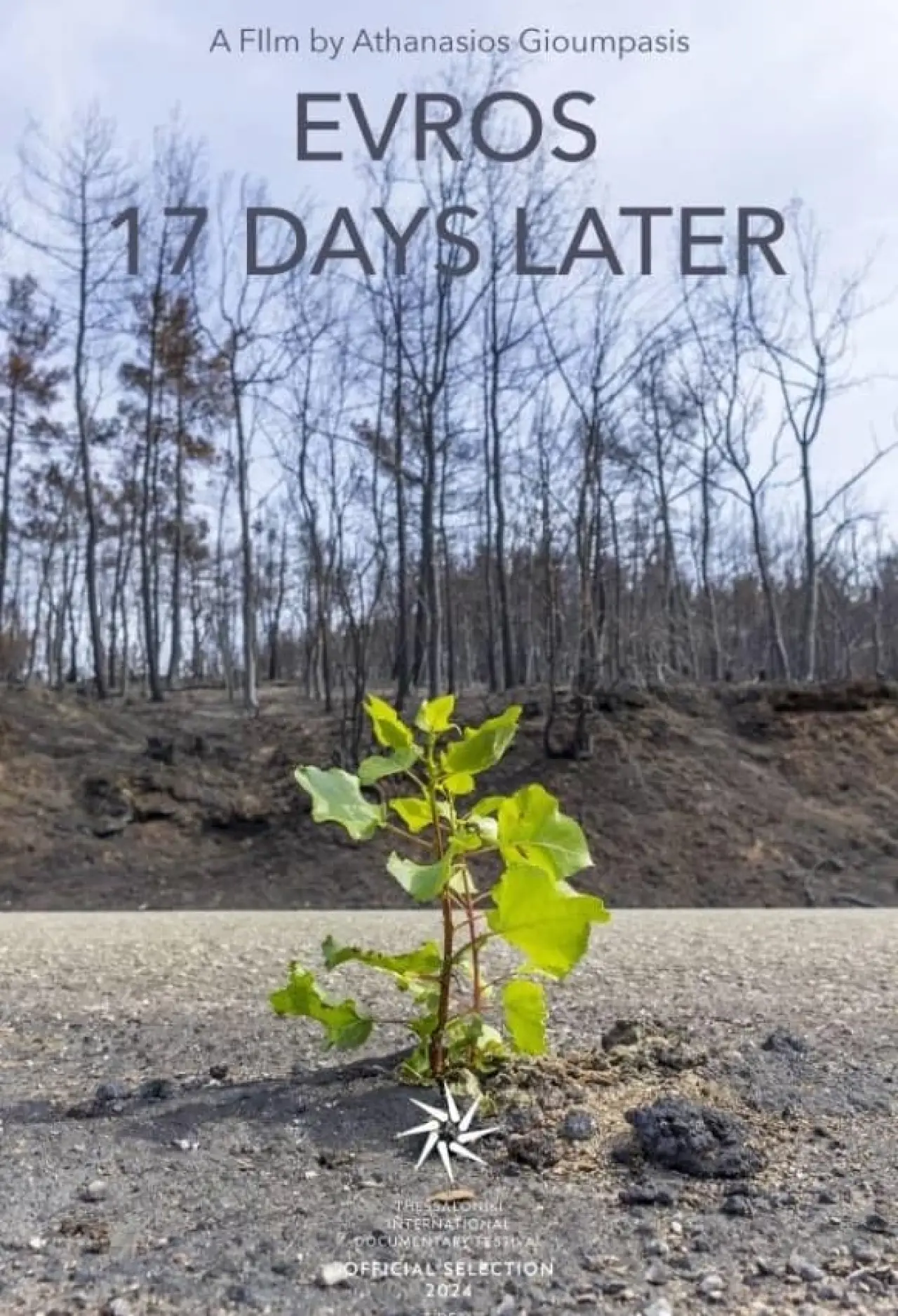 Plakat filmowy "Έβρος 17 μέρες μετά"