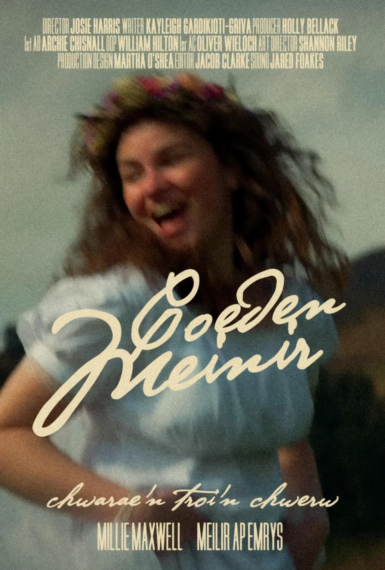 Plakat filmowy "Coeden Meinir"