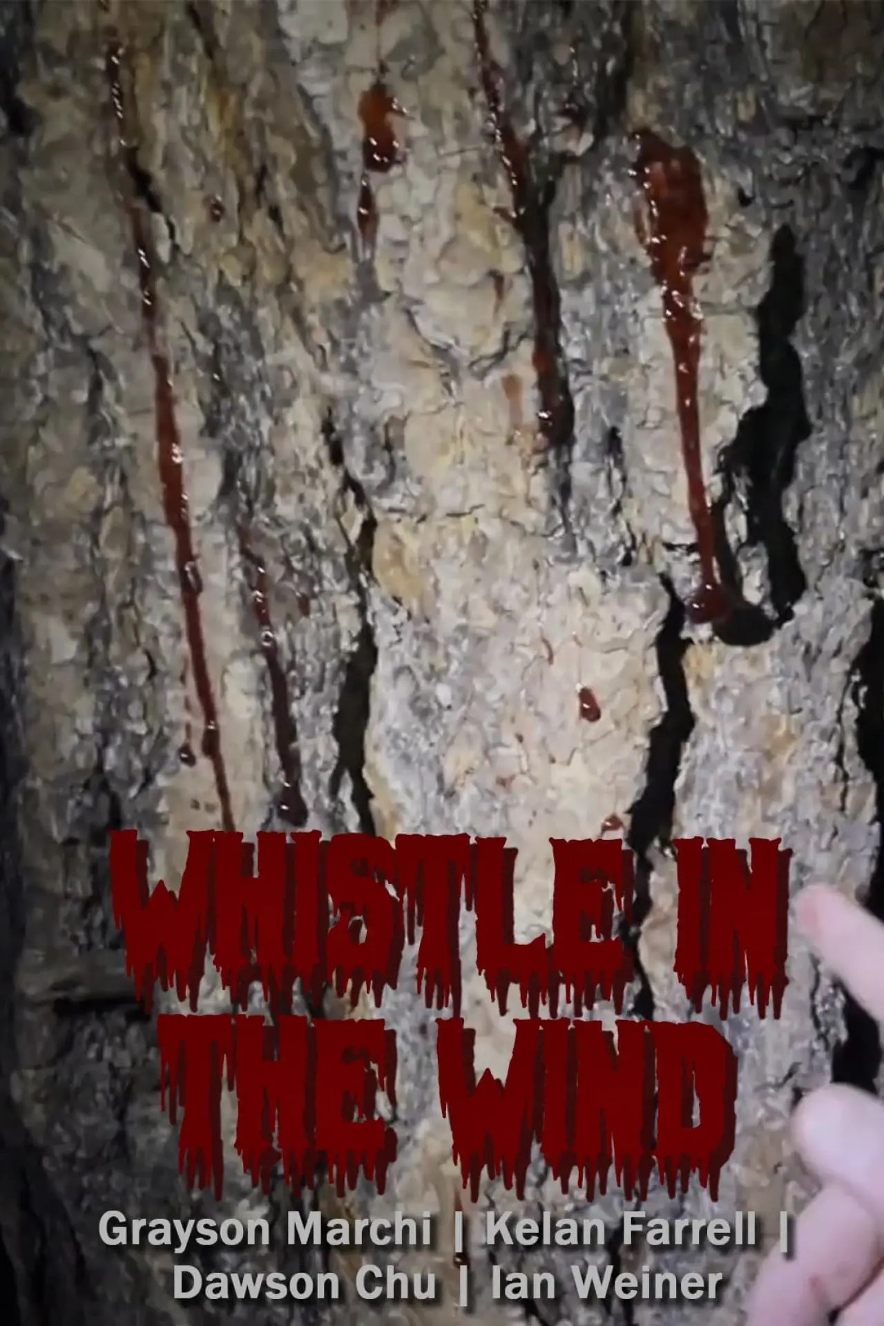 Plakat filmowy "Whistle in the Wind"