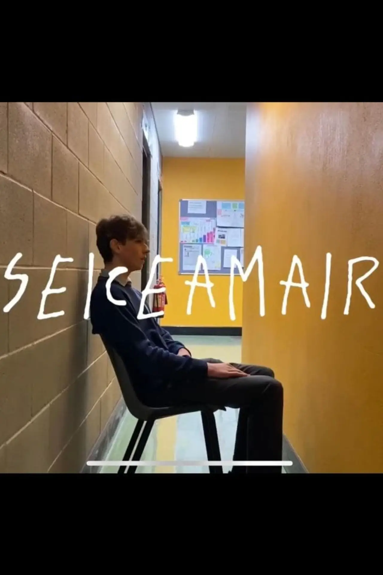 Plakat filmowy "Seiceamair"
