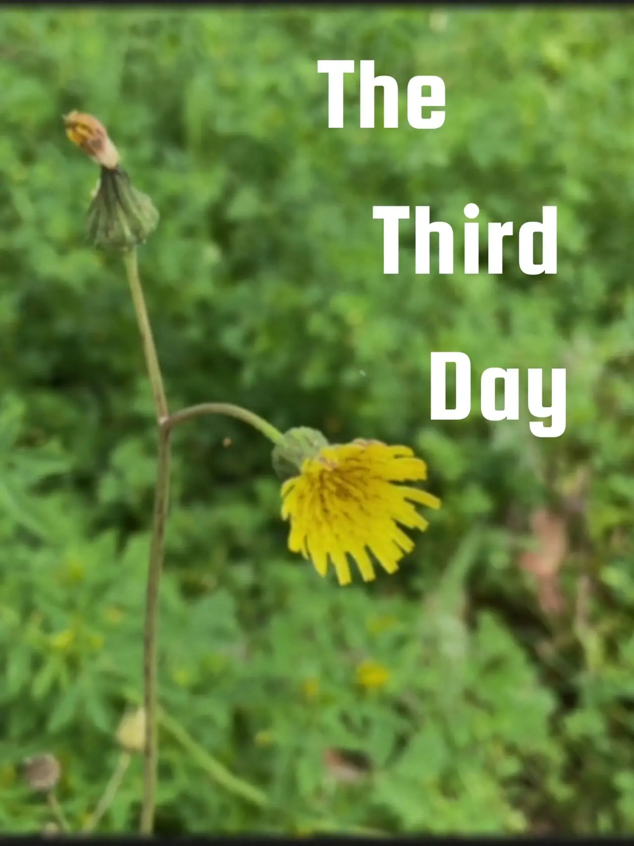 Plakat filmowy "The Third Day"
