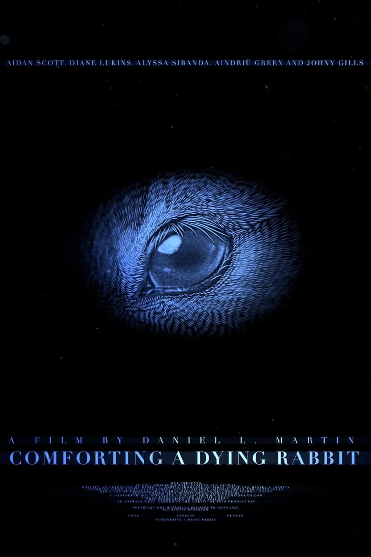 Plakat filmowy "Comforting A Dying Rabbit"