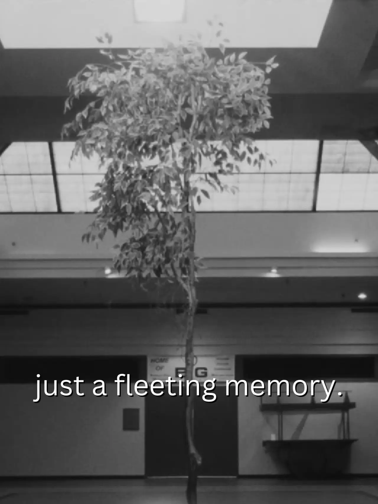 Plakat filmowy "just a fleeting memory."