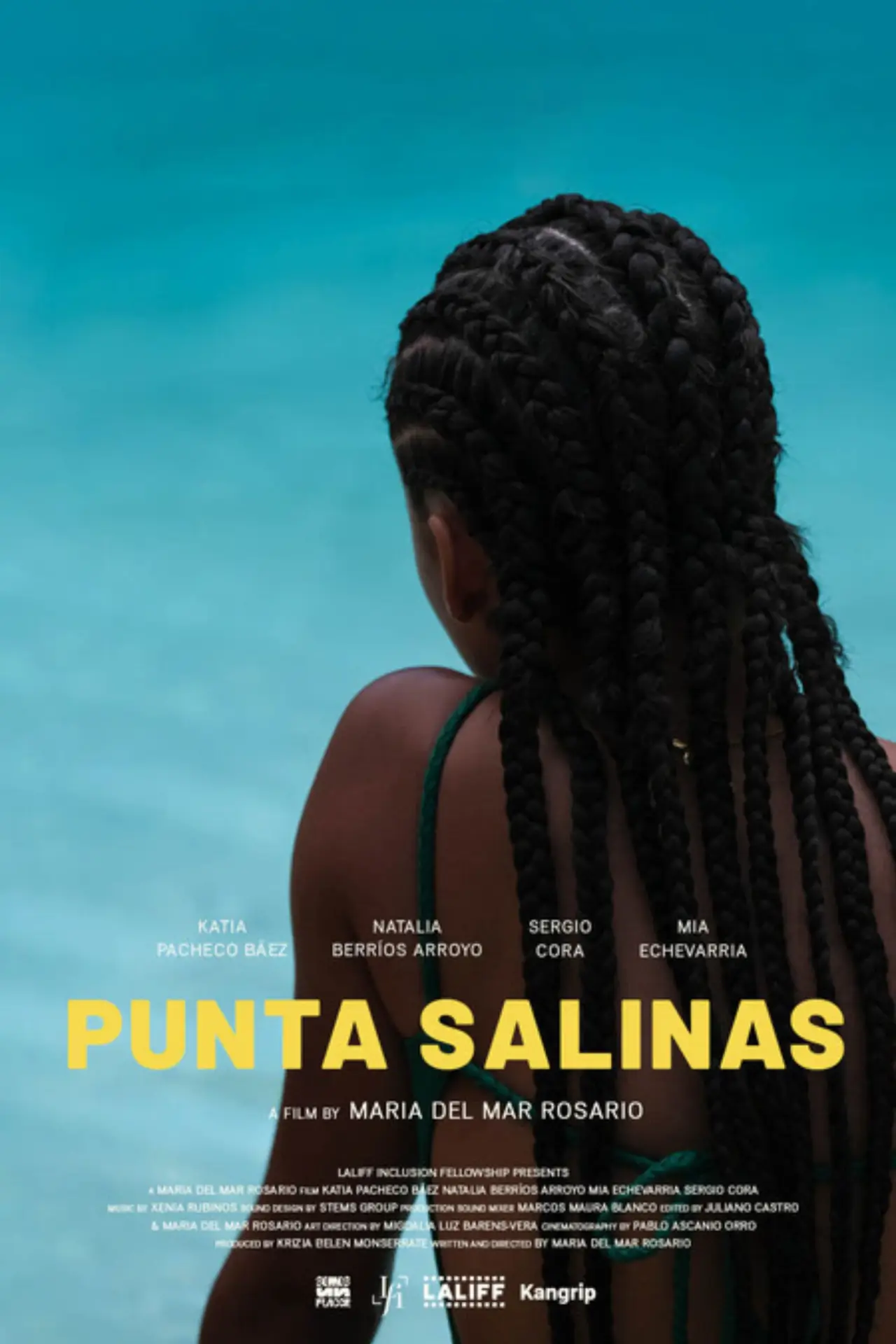Plakat filmowy "Punta Salinas"