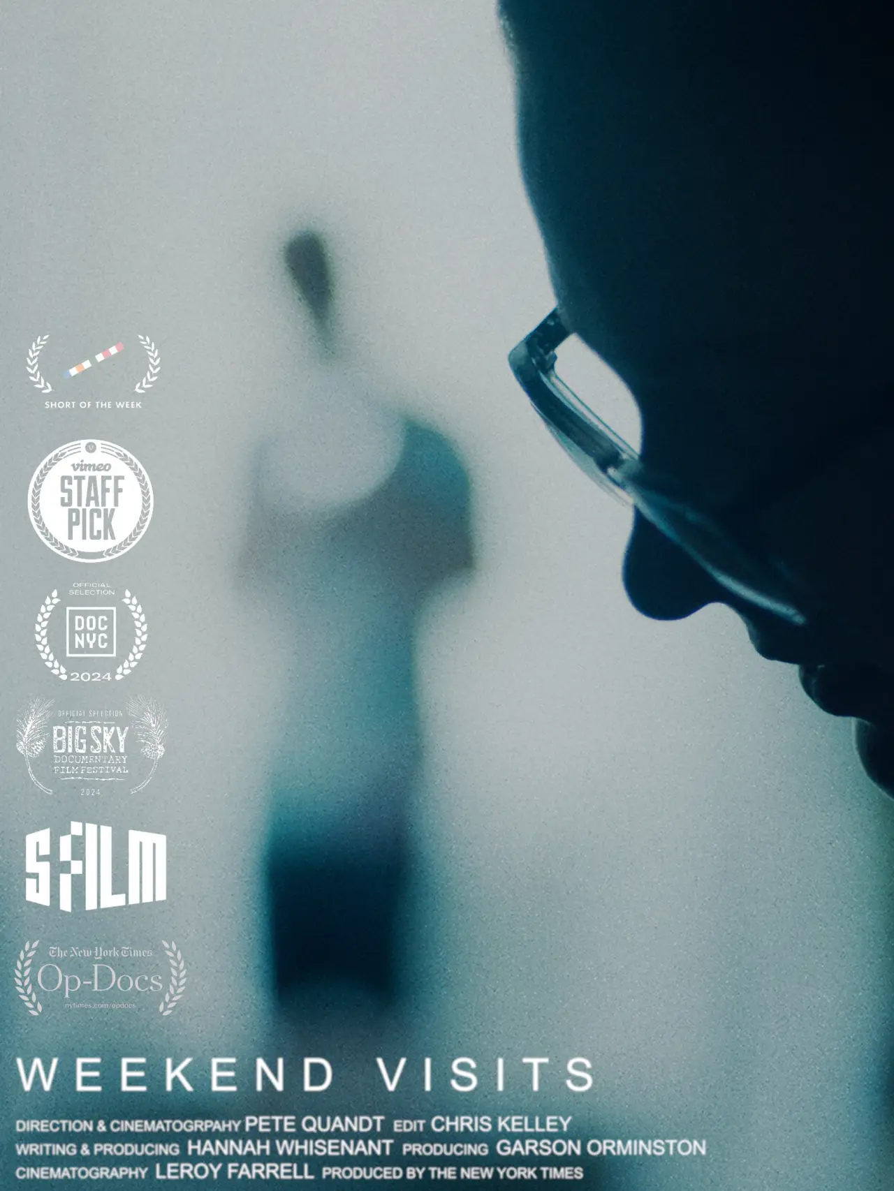 Plakat filmowy "Weekend Visits"