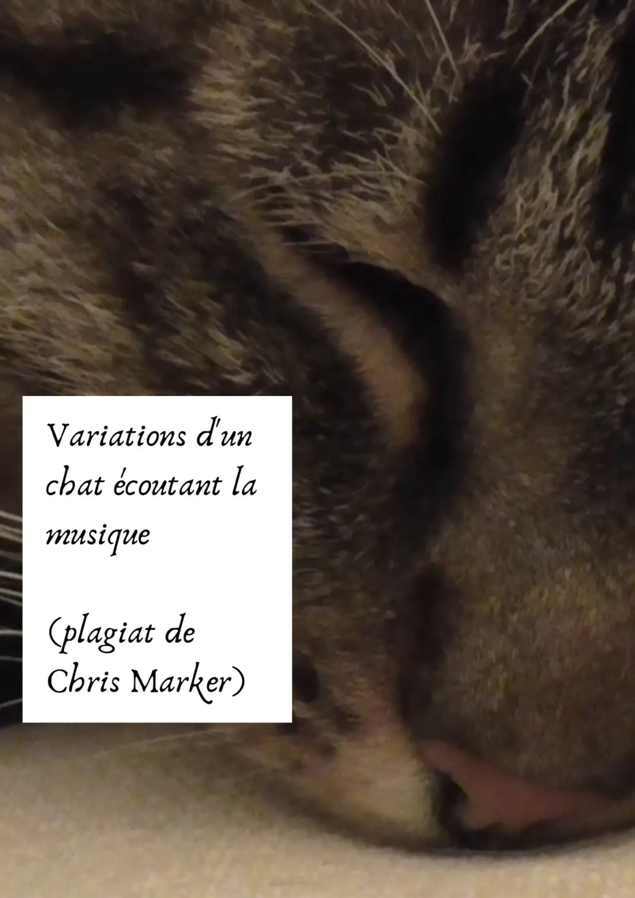 Plakat filmowy "Variations d’un chat écoutant la musique (plagiat de Chris Marker)"