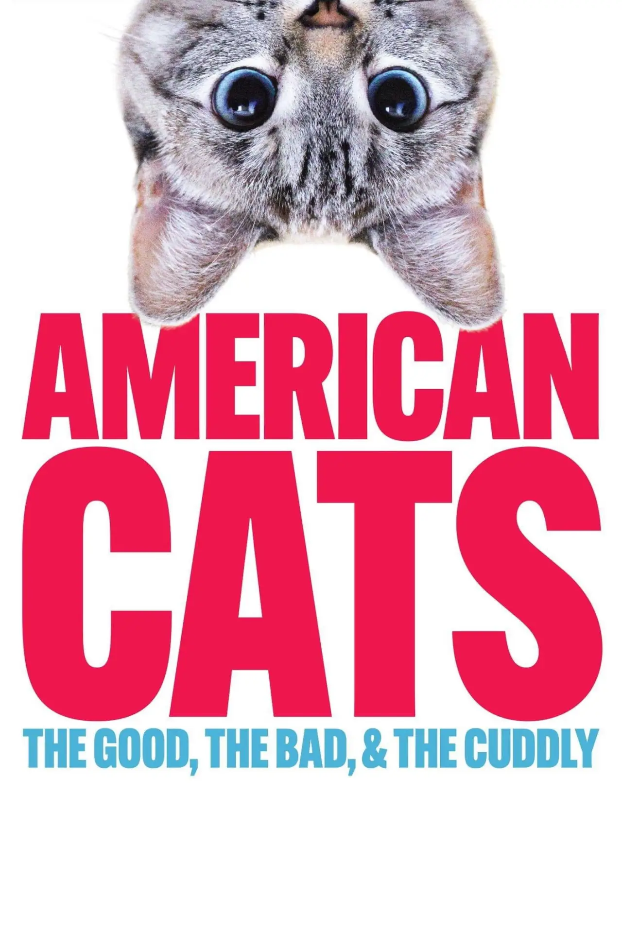 Plakat filmowy "American Cats: The Good, the Bad, and the Cuddly"