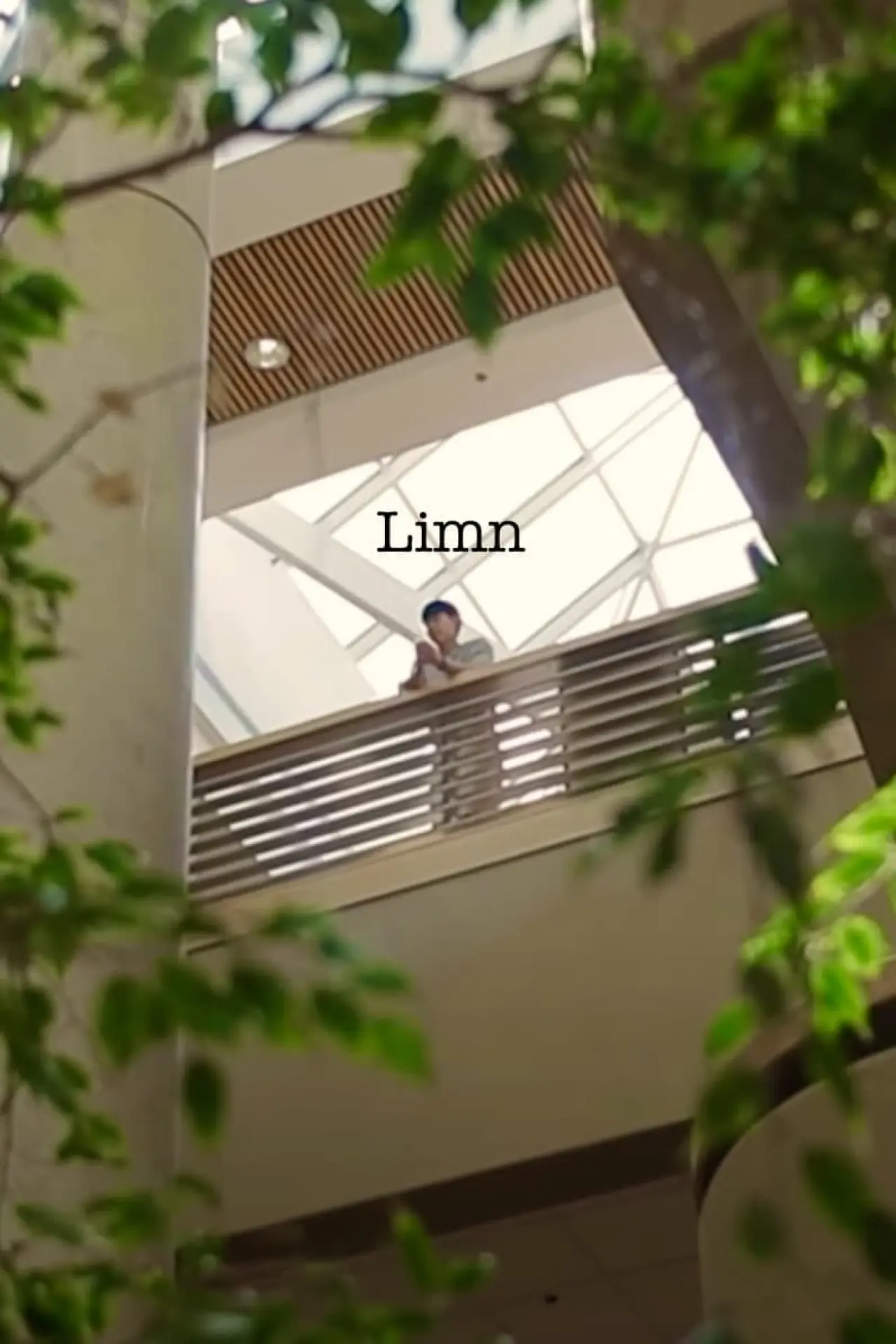 Plakat filmowy "Limn"