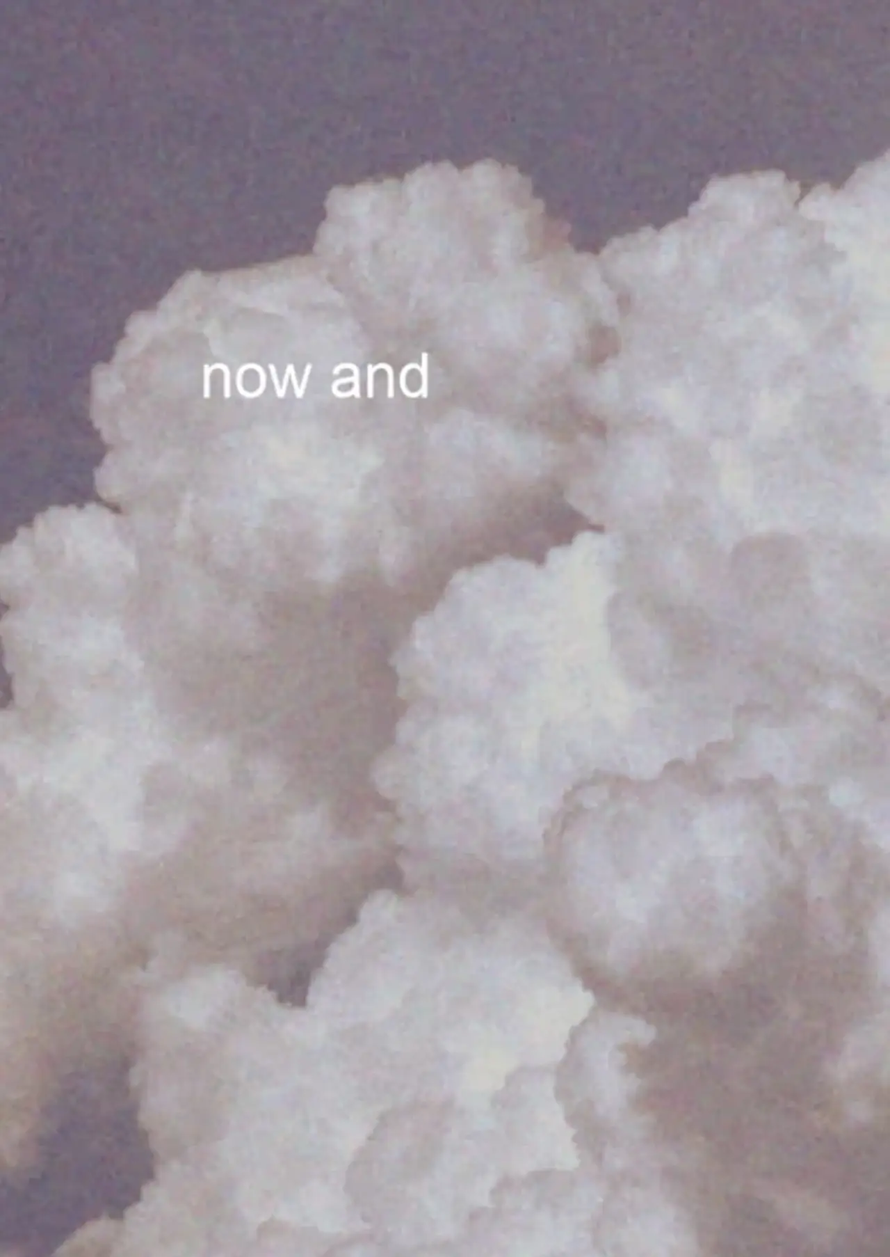 Plakat filmowy "now and"
