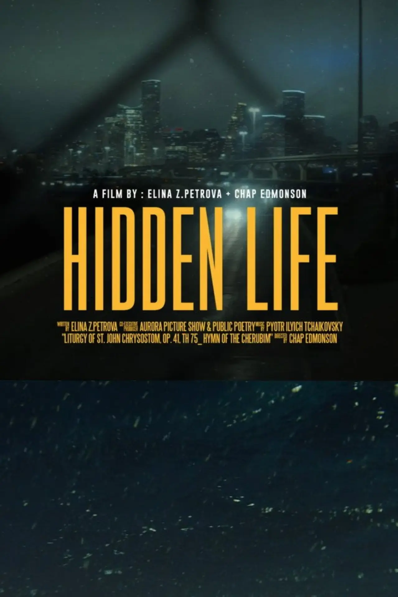 Plakat filmowy "Hidden Life"