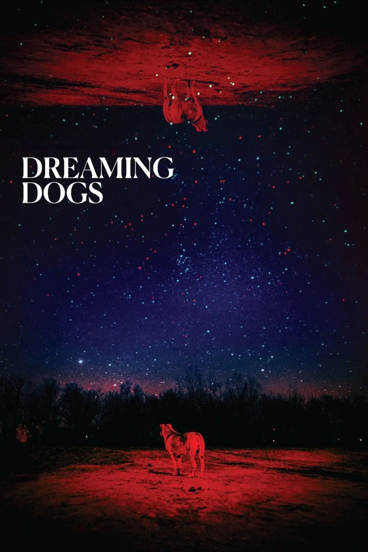 Plakat filmowy "Dreaming Dogs"