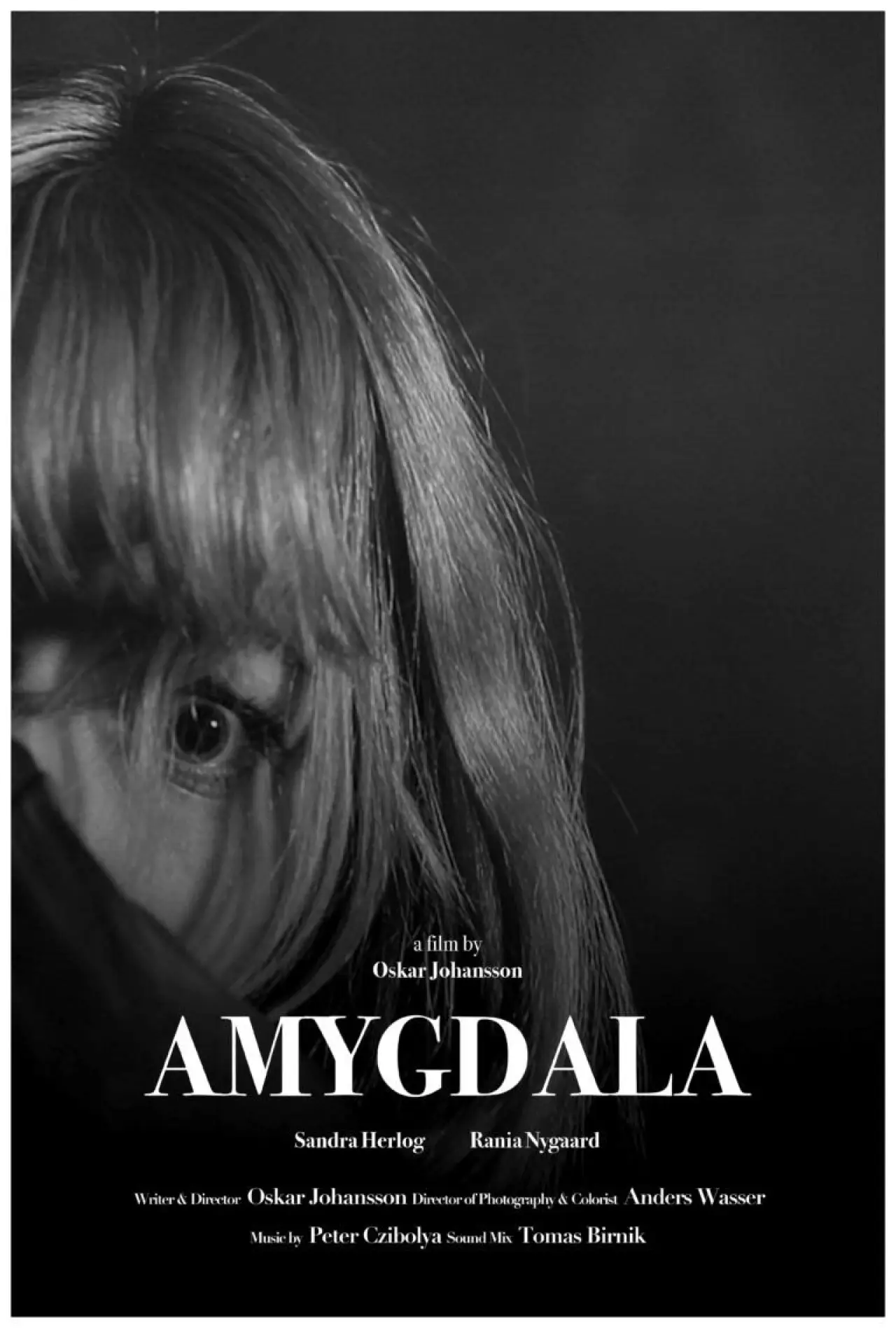 Plakat filmowy "Amygdala"