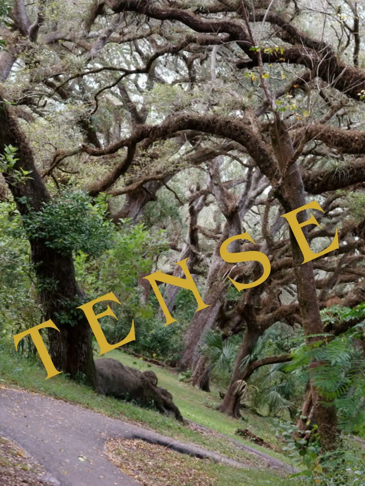 Plakat filmowy "Tense"