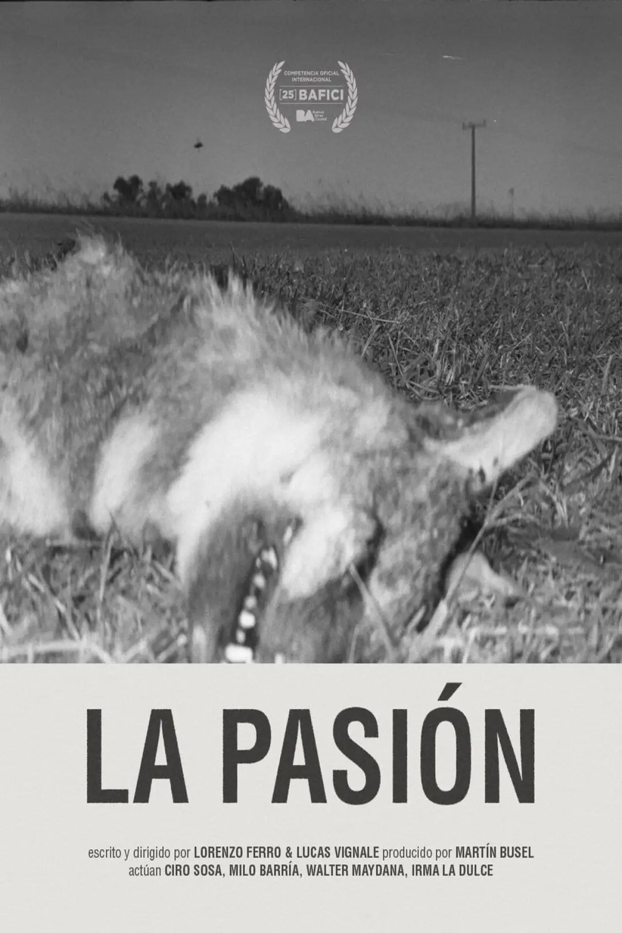 Plakat filmowy "La pasión"