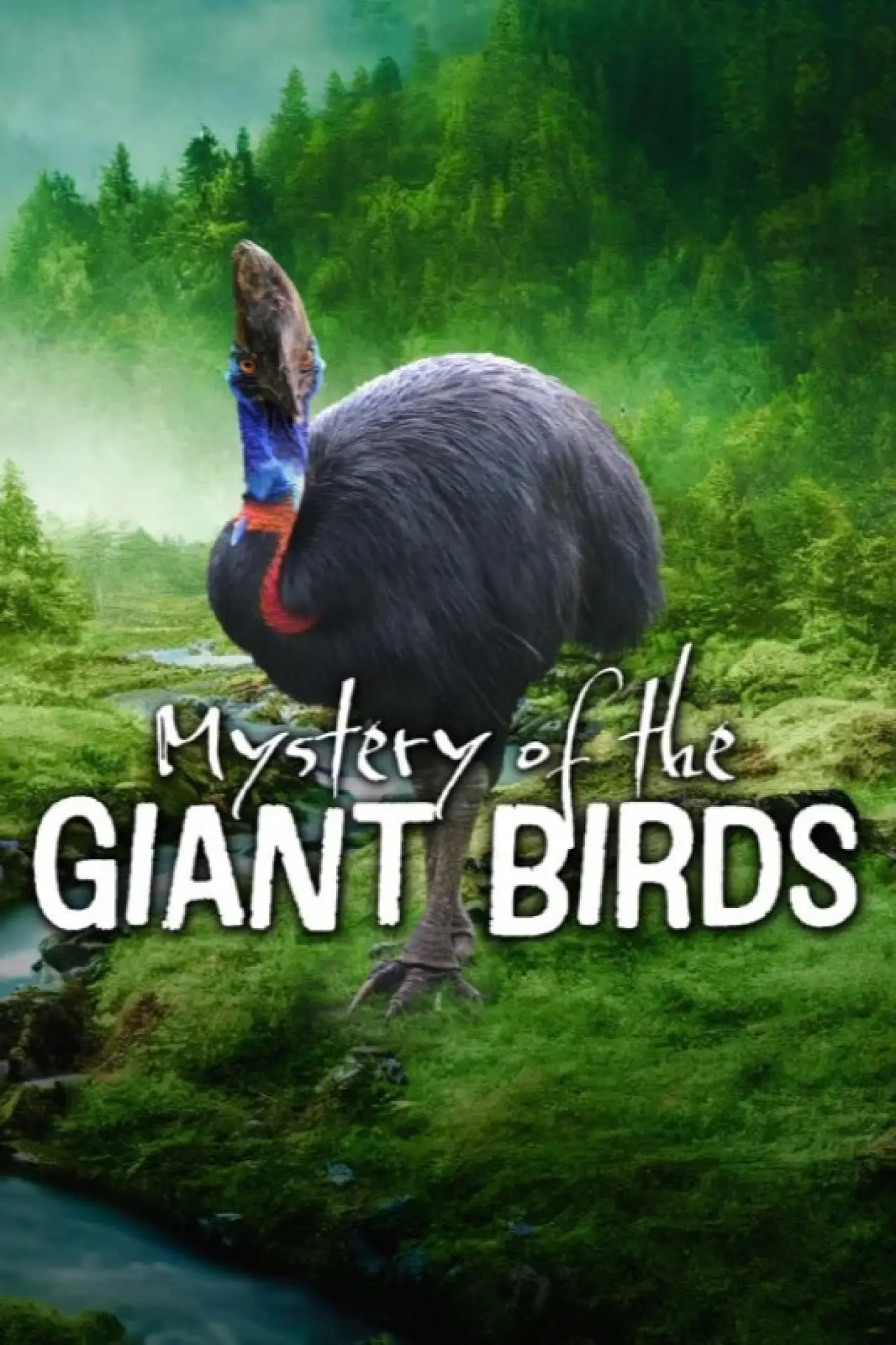 Plakat filmowy "Le mystère des oiseaux géants"