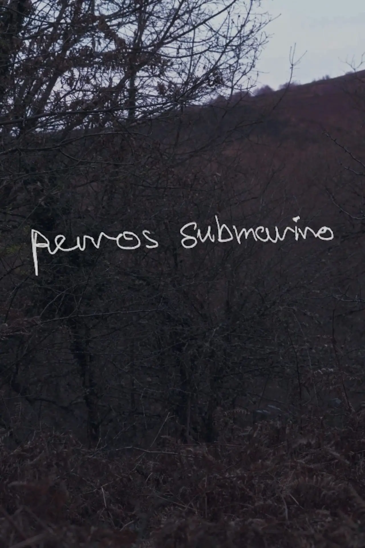 Plakat filmowy "Perros submarino"