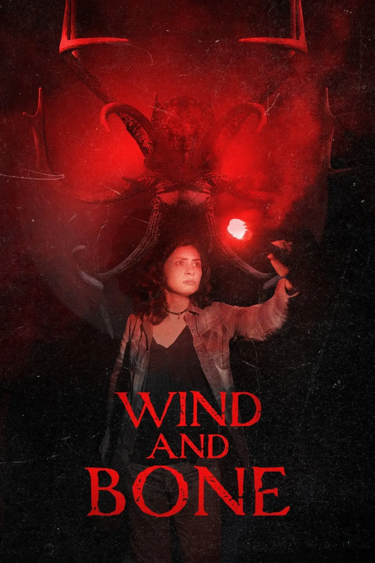 Plakat filmowy "Wind and Bone"