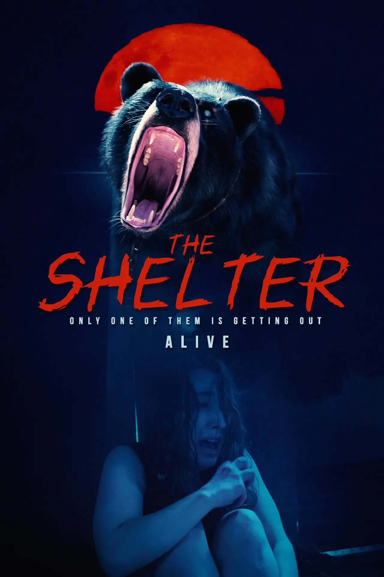 Plakat filmowy "The Shelter"