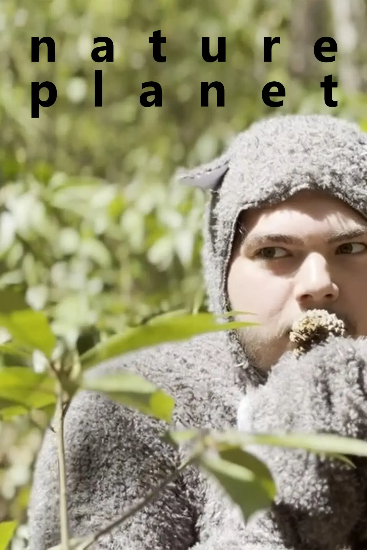 Plakat filmowy "Nature Planet: Squirrels"