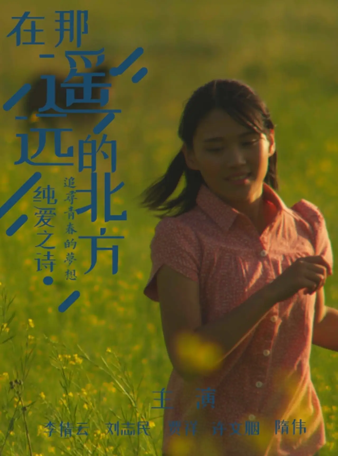 Plakat filmowy "在那遥远的北方"
