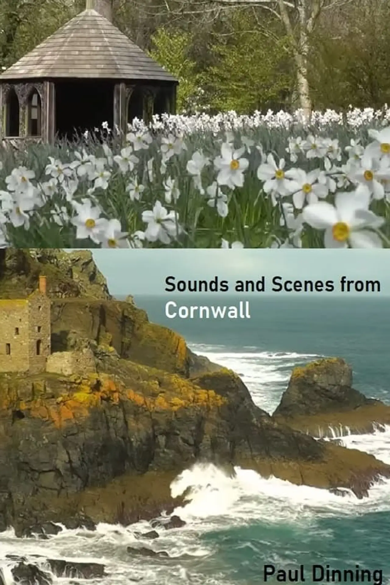 Plakat filmowy "Sounds and Scenes from Cornwall"