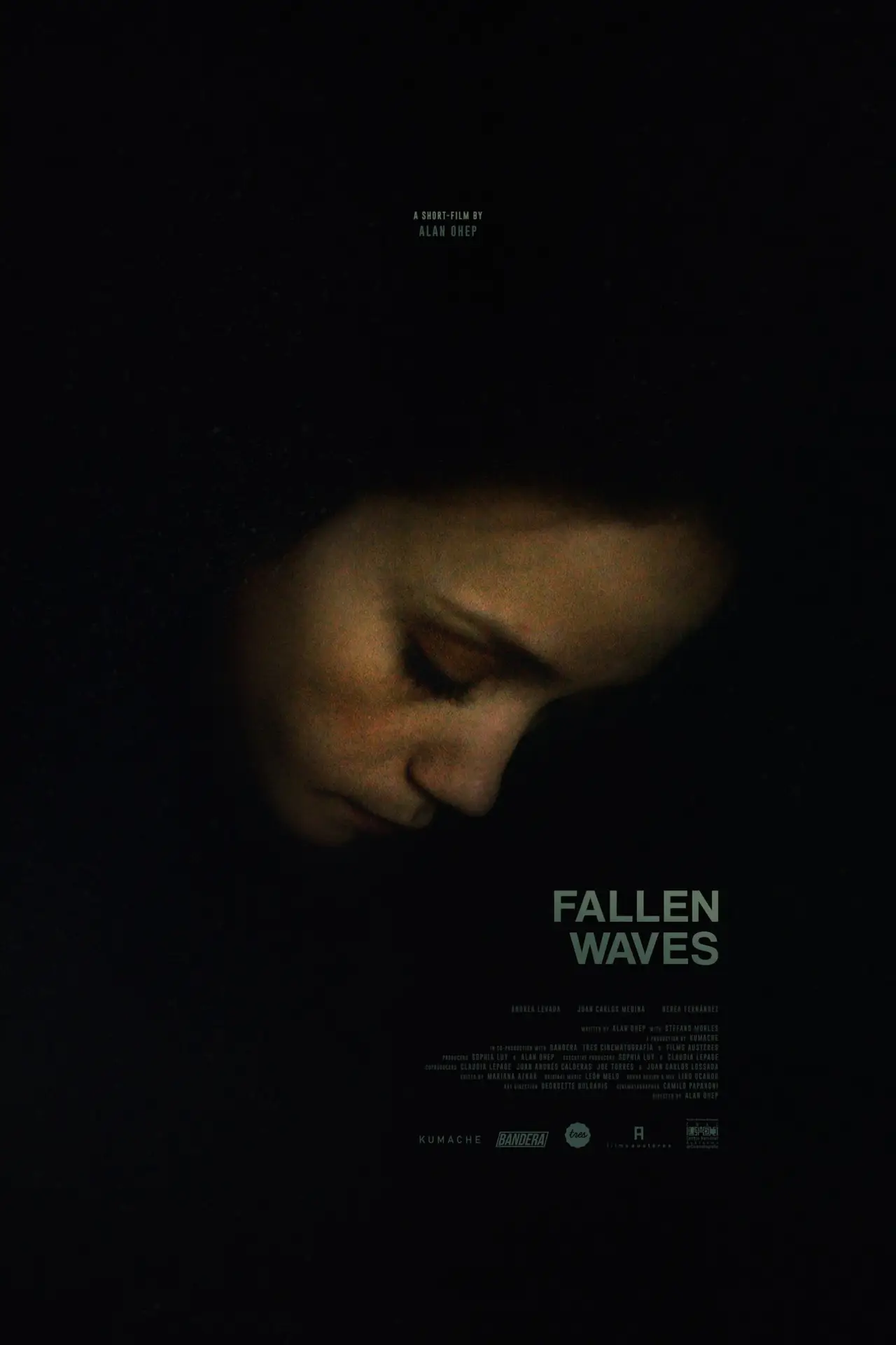 Plakat filmowy "Fallen Waves"