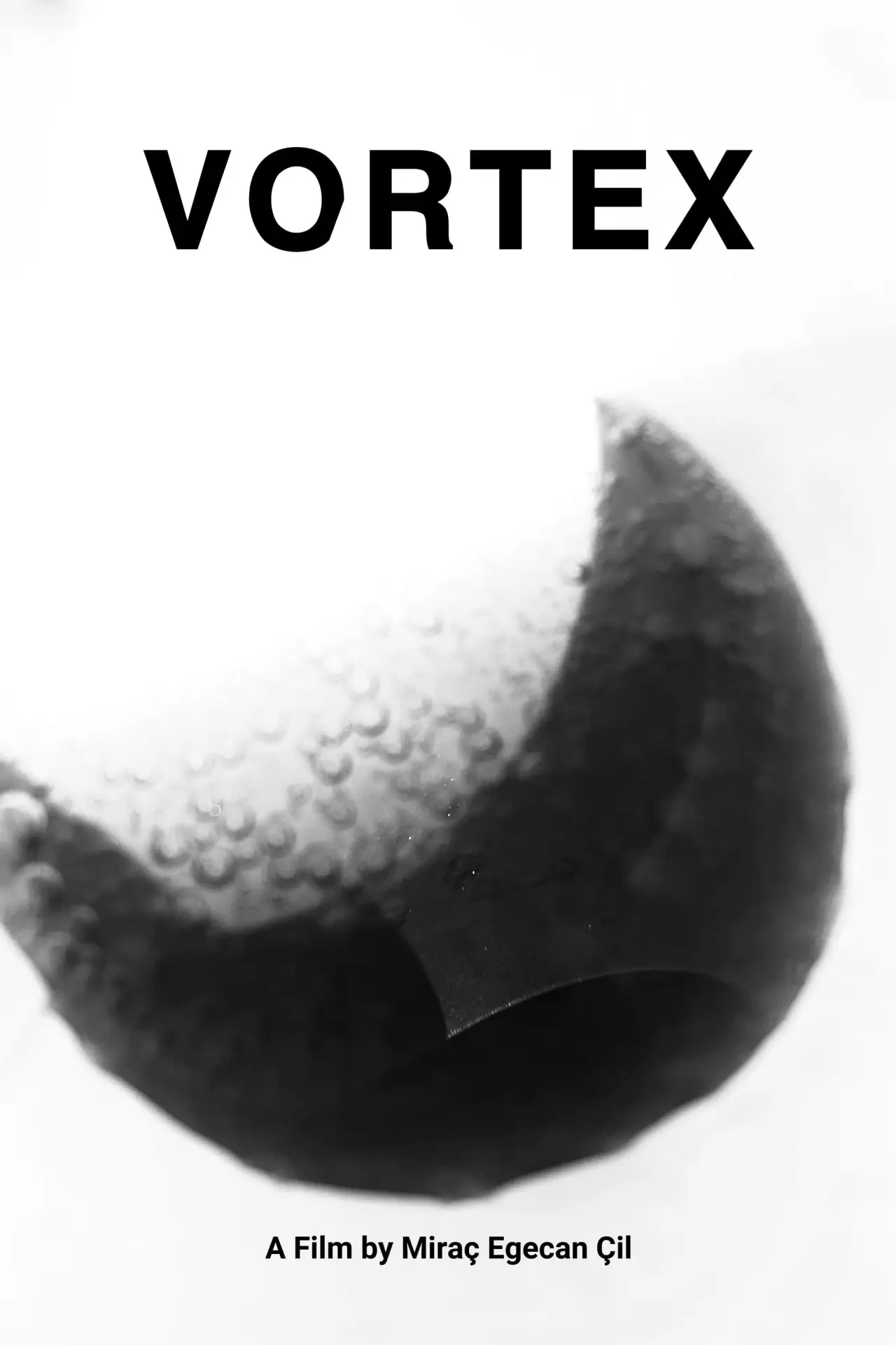 Plakat filmowy "Vortex"