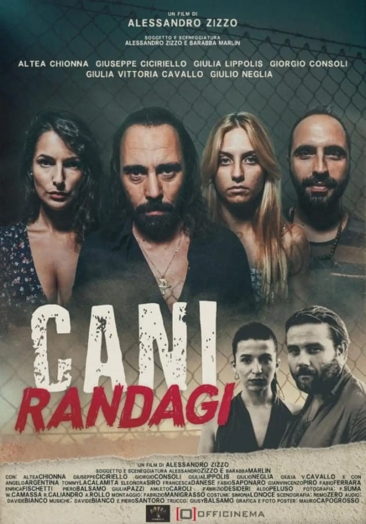 Plakat filmowy "Cani randagi"