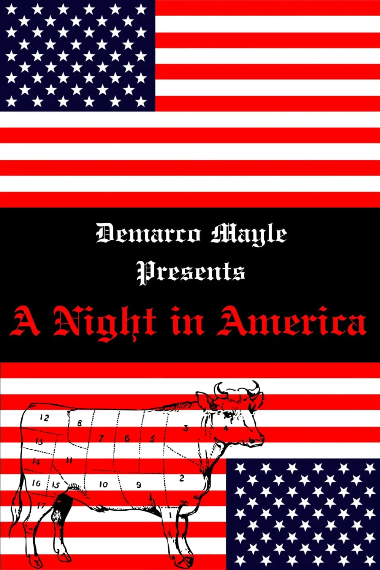 Plakat filmowy "A Night in America"