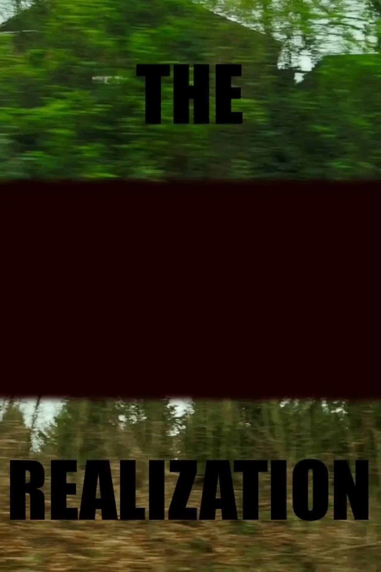 Plakat filmowy "The realization"