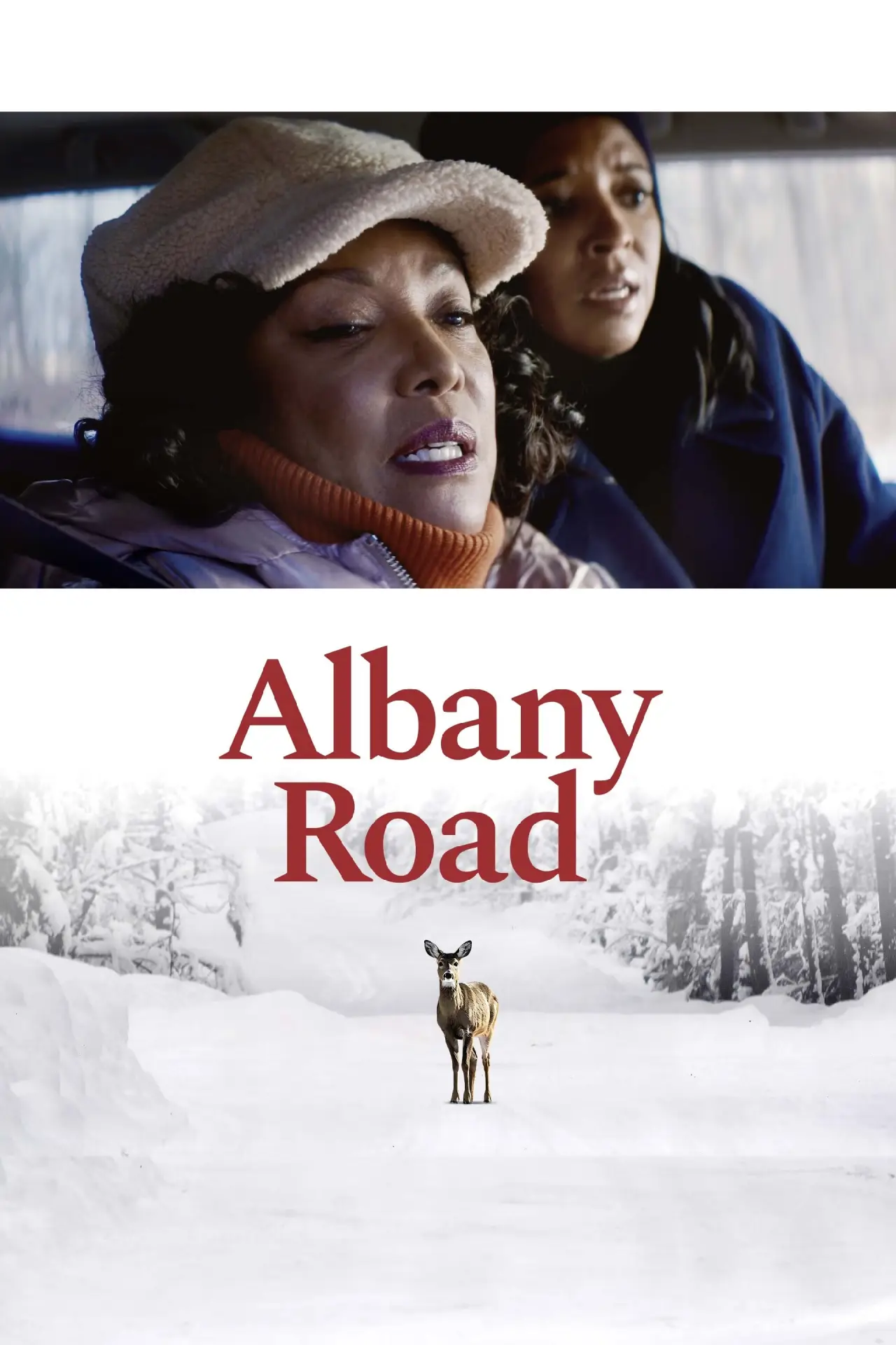 Plakat filmowy "Albany Road"