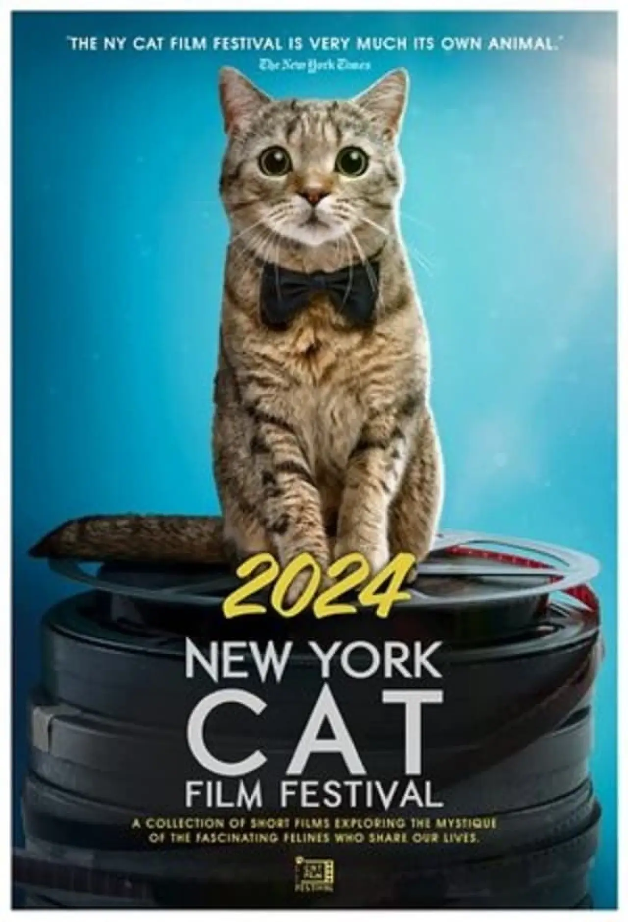 Plakat filmowy "2024 New York Cat Film Festival"