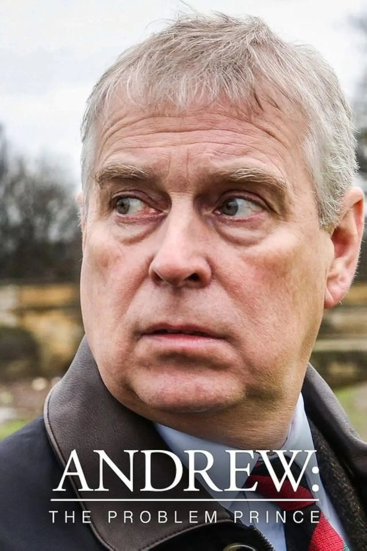 Plakat filmowy "Andrew: The Problem Prince"