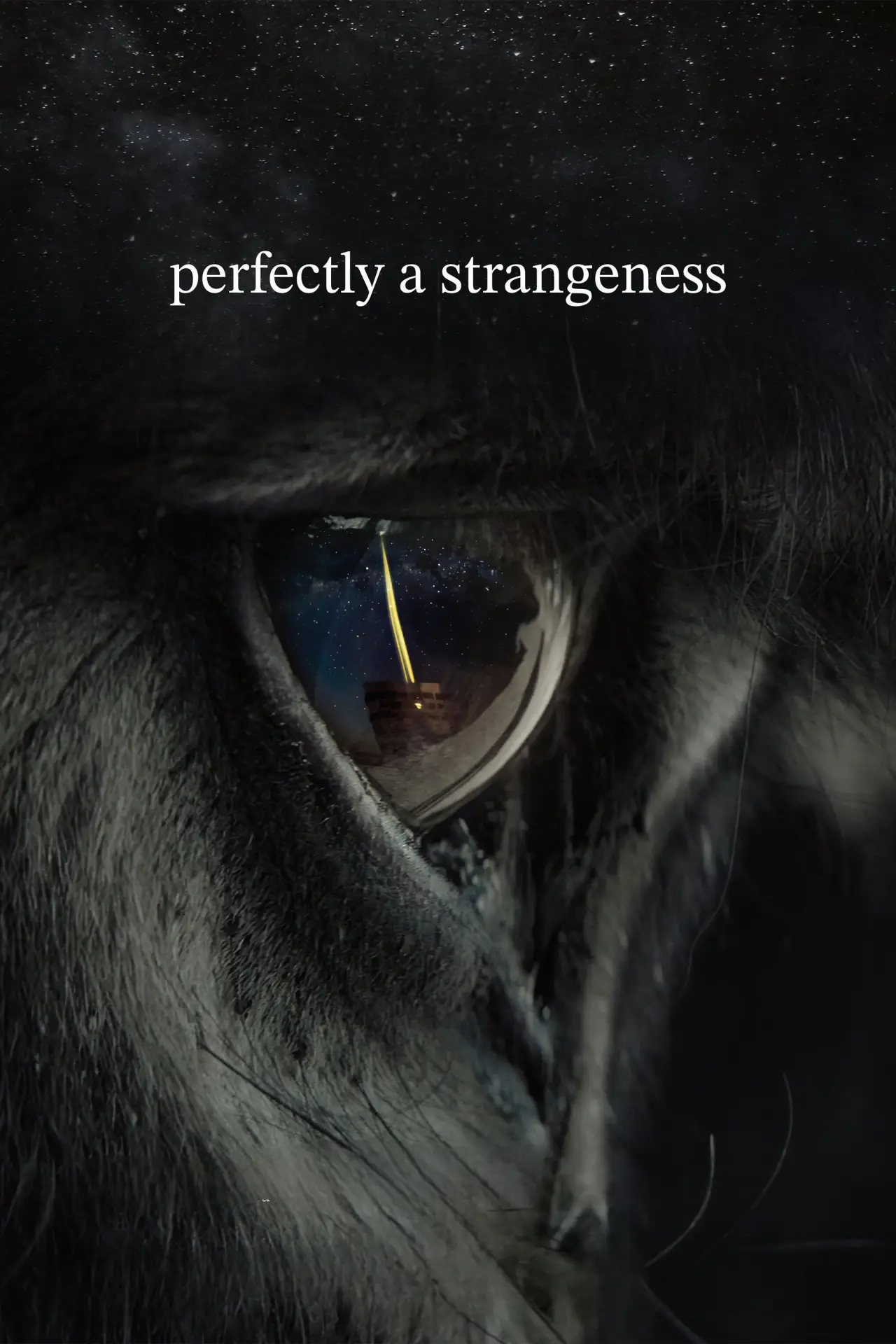 Plakat filmowy "Une parfaite étrangeté"