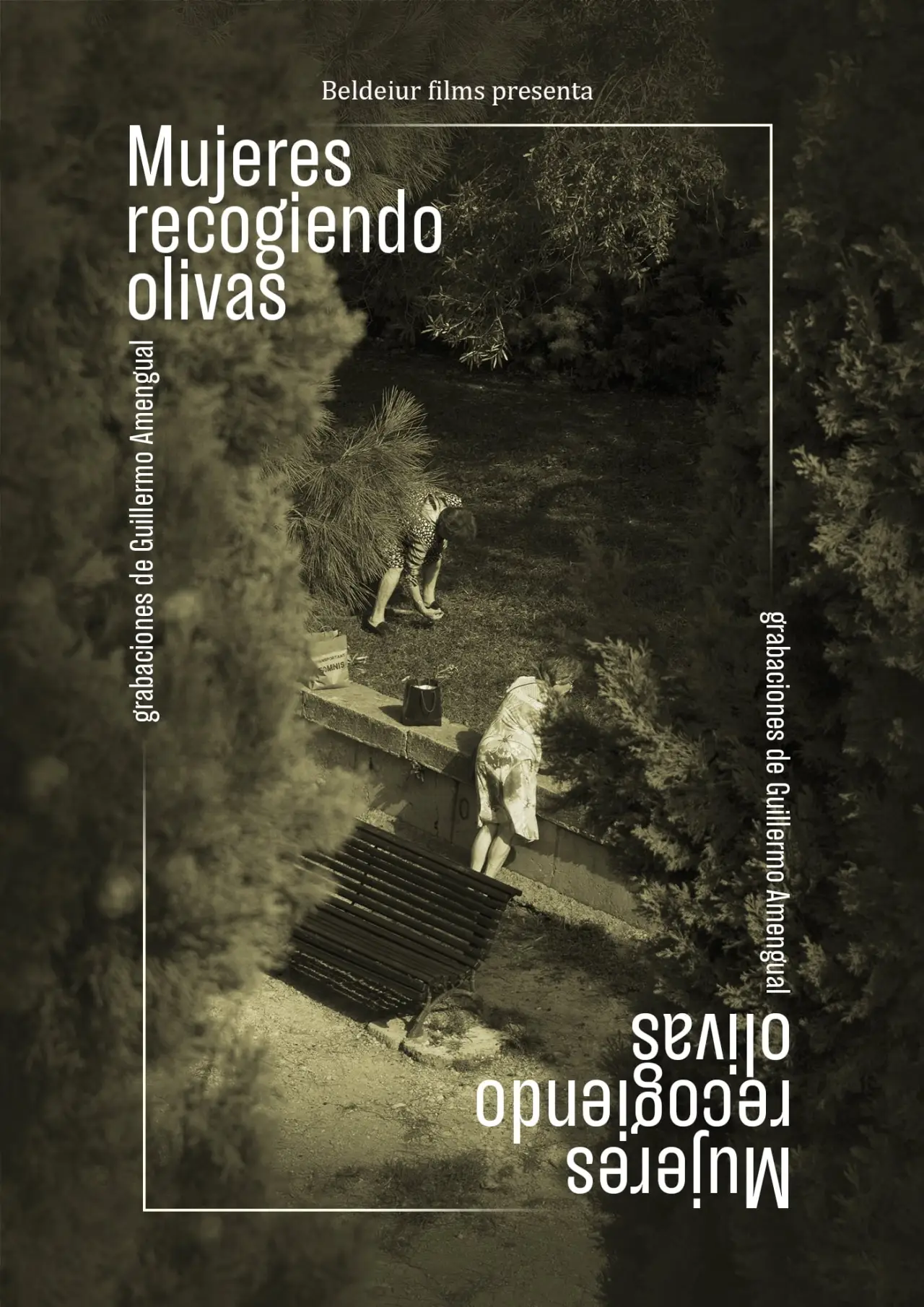 Plakat filmowy "Mujeres recogiendo olivas"