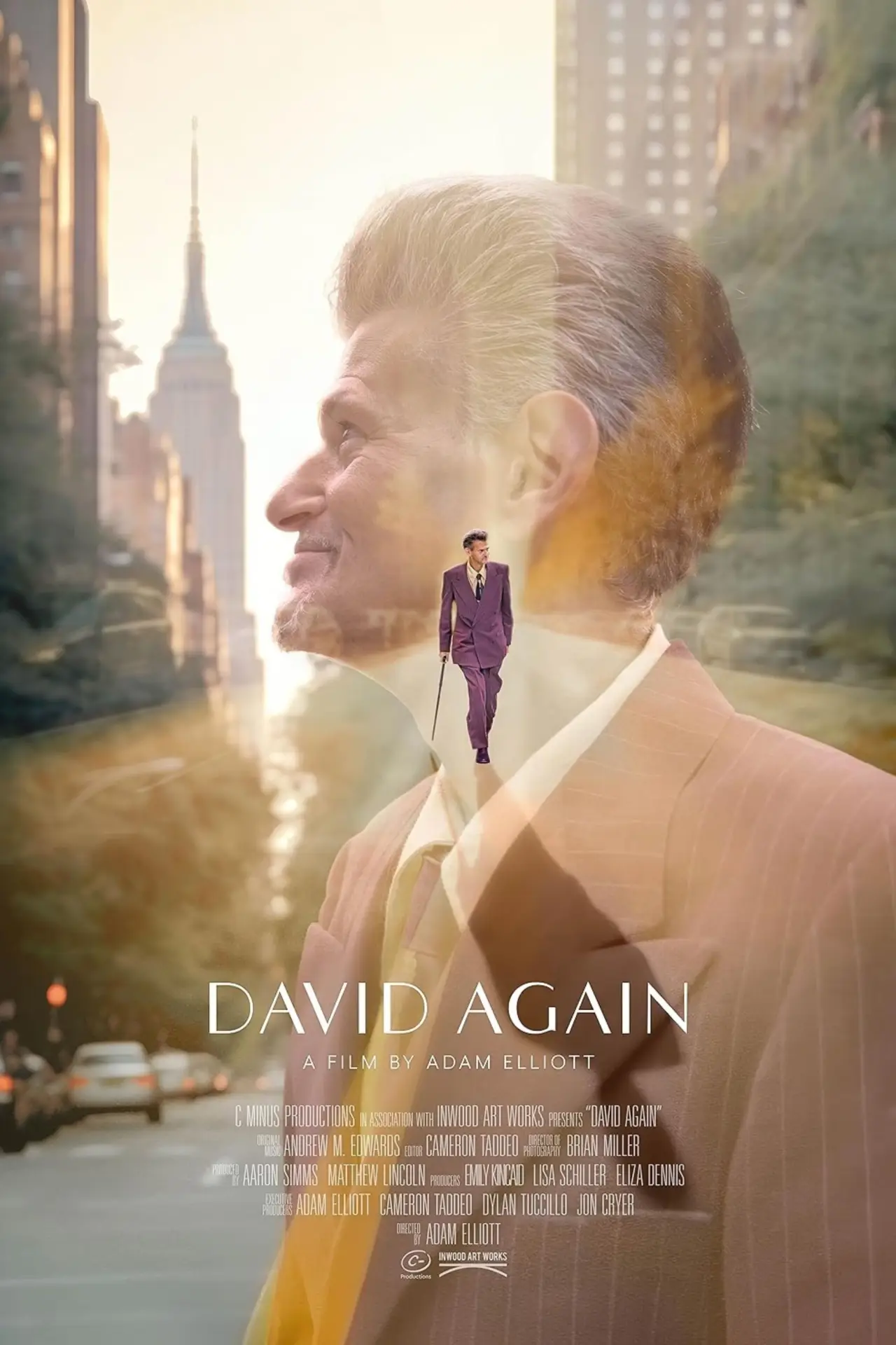 Plakat filmowy "David Again"