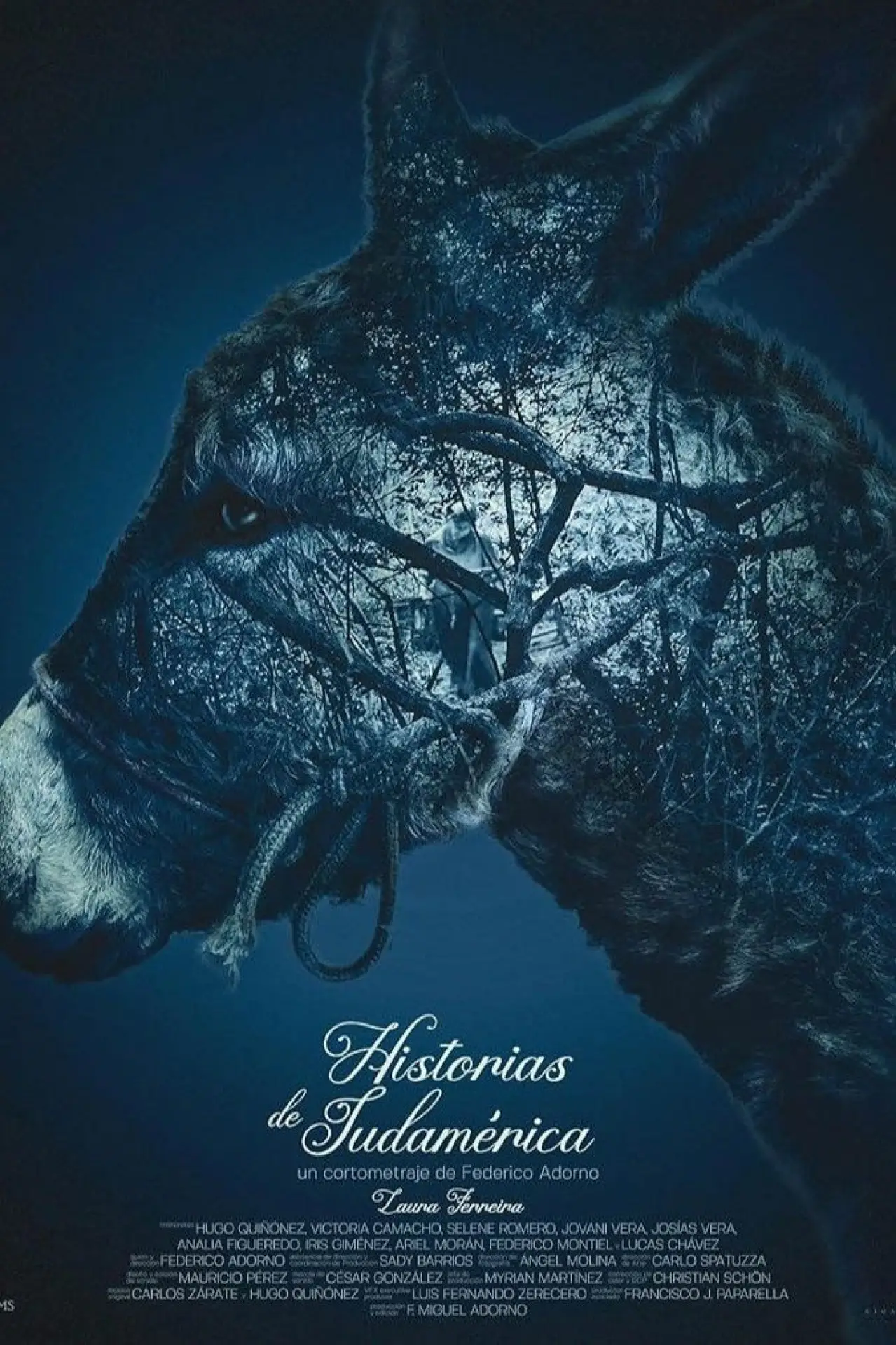 Plakat filmowy "Historias de Sudamérica"