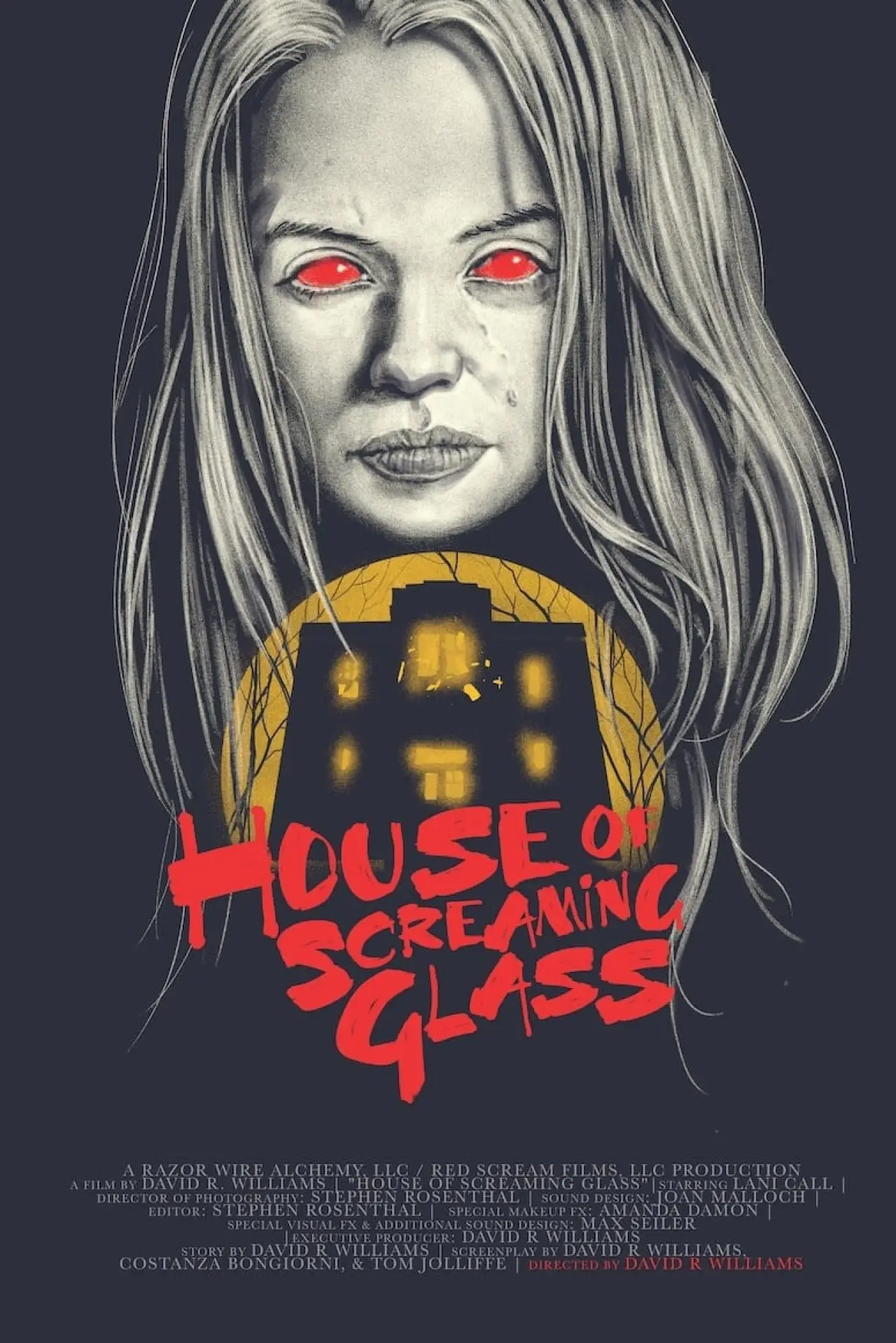 Plakat filmowy "House of Screaming Glass"