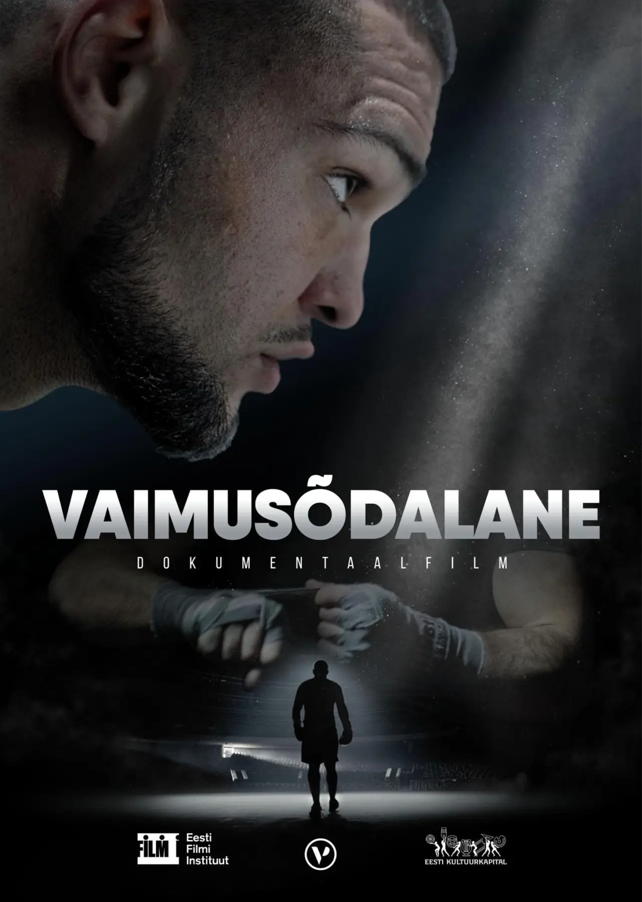 Plakat filmowy "Vaimusõdalane"