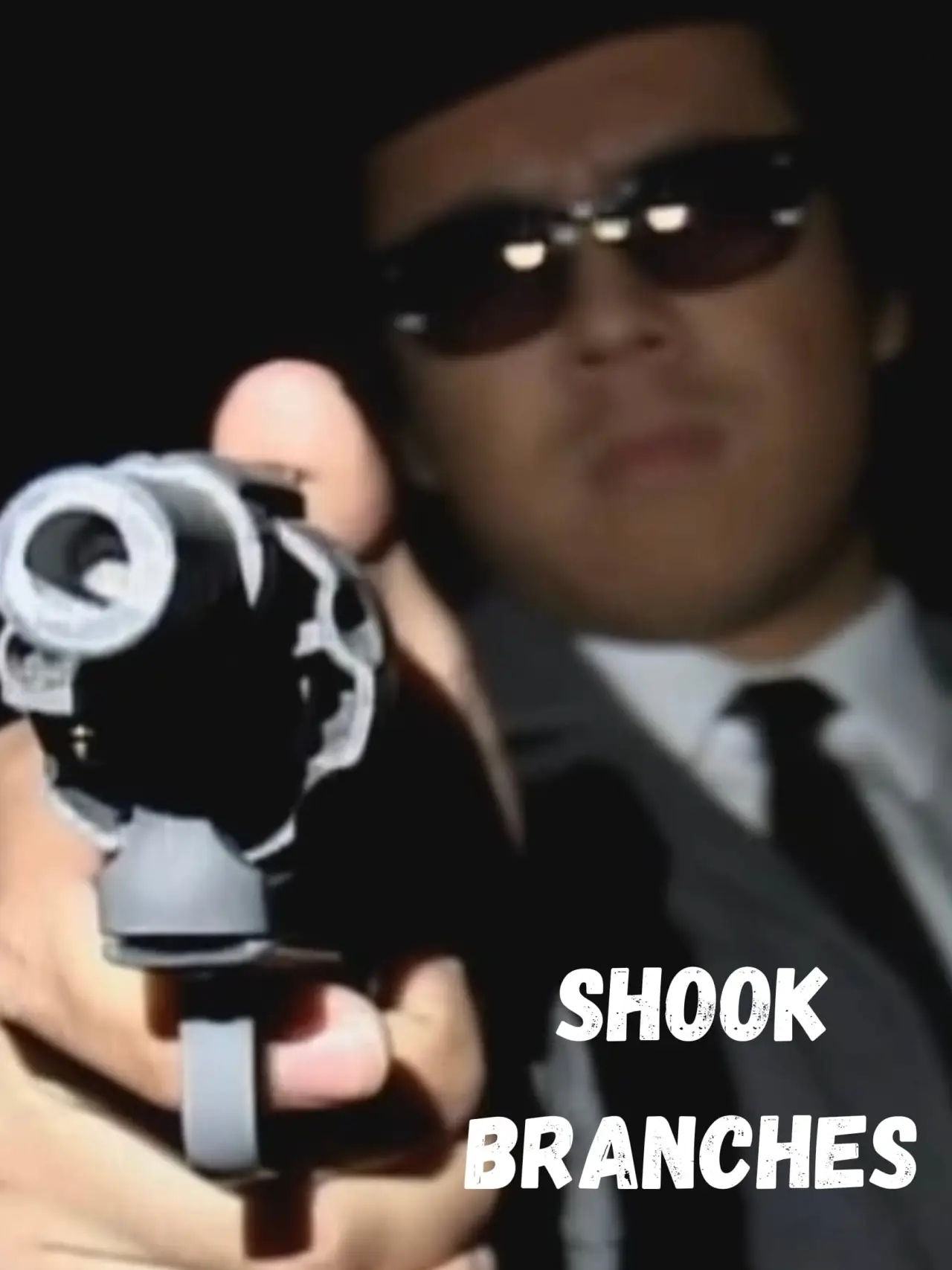 Plakat filmowy "Shook Branches"