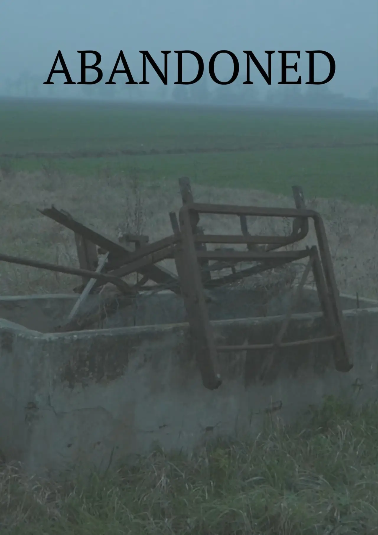 Plakat filmowy "Abandoned"