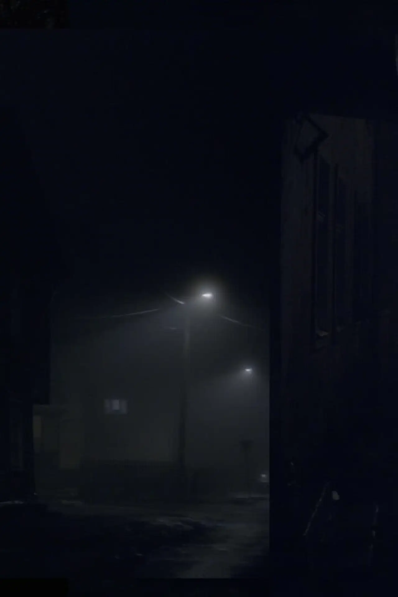 Plakat filmowy "Jõgi ja kass"