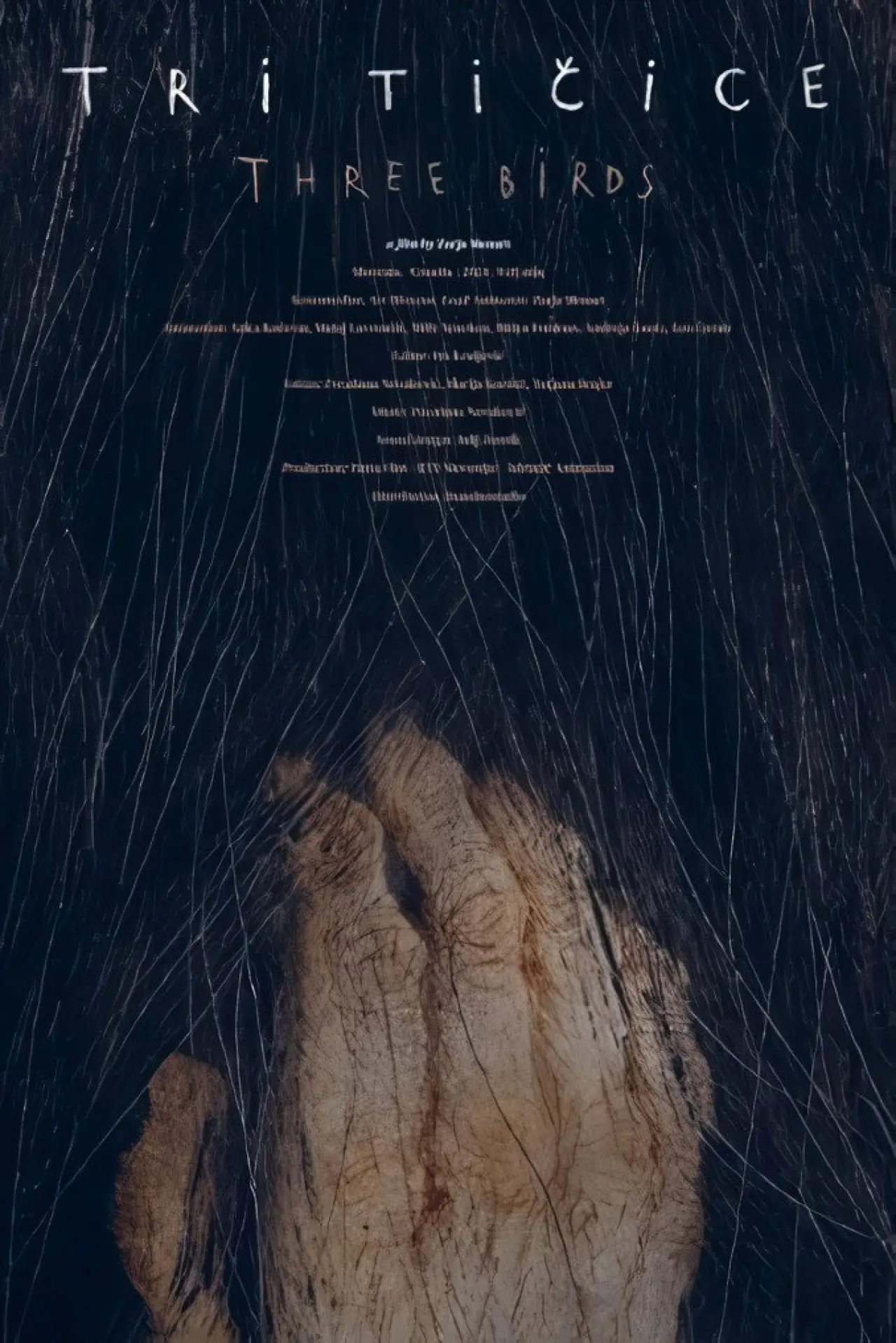 Plakat filmowy "Tri tičice"
